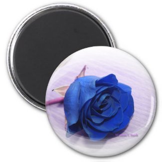 Single Dark Blue Rose, pale background magnet