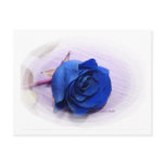 Single Dark Blue Rose, pale background Postcard