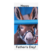 single donkey photo greeting card
