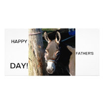 SINGLE  donkey Photo Card