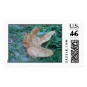 Single Dry Leaf postage