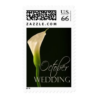 Single elegant wedding calla lily for October Postage