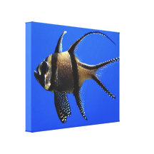 single-fish-in-aquarium canvas print