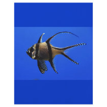 single-fish-in-aquarium flyer