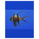 single-fish-in-aquarium flyers