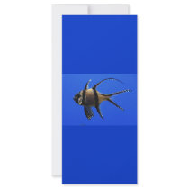 single-fish-in-aquarium rack card design