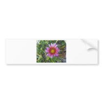 Single flower bumper sticker