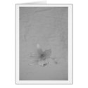 Single Flower Card by mwang452 Single Flower Card