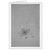 Single Flower Card