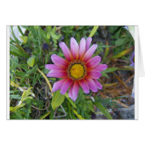 Single flower greeting card
