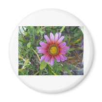 Single flower refrigerator magnets
