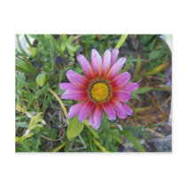 Single flower postcard