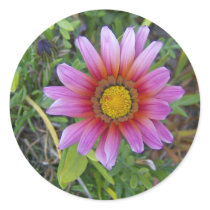 Single flower stickers