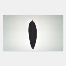 Single Green Leaf on white background Rectangular Sticker