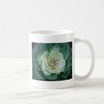 single ornamental kale mugs