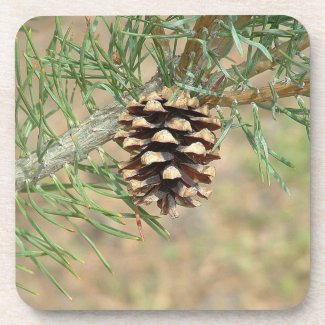 Single Pine Cone Coasters