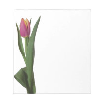 Single Pink and Yellow Tulip Notepad