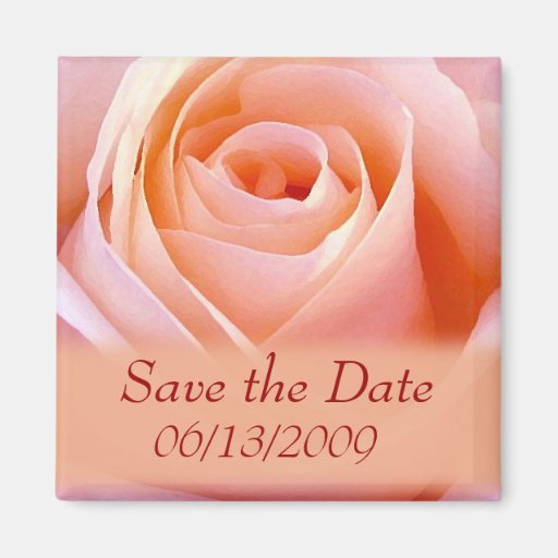 Single Pink Bridal rose save the date Refrigerator Magnet