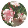 Single Pink Oleander 3