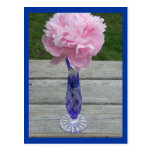 Single Pink Peiny in Blue Caesar Crystal Vase Postcards