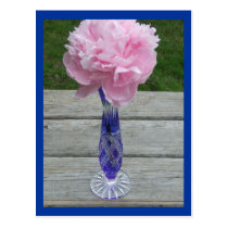 Single Pink Peiny in Blue Caesar Crystal Vase postcards