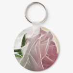 Single Pink Rose Basics Single Pink Rose Basics
