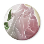 Single Pink Rose Basics Magnets