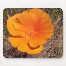 Single Poppy Mousepads
