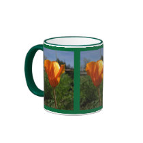 Single Poppy Mugs