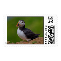 Single Puffin postage