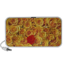 Single Red in Yellow Bed Roses Travelling Speaker