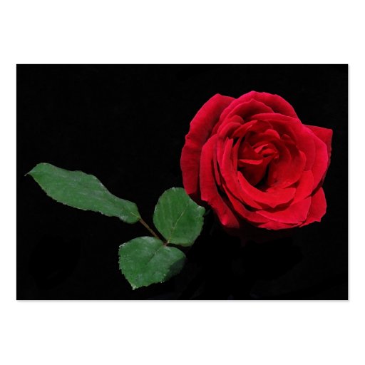 Single Red Rose ATC Business Cards (front side)