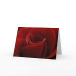 Single Red Rose Card