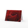 Single Red Rose Card