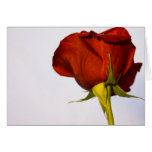 Single Red Rose Greeting Card