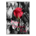 Single Red Rose, Happy, Valentine's, Day! cards