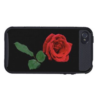 Single Red Rose iPhone 4 Case