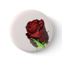 Single red rose on a light pink background. buttons