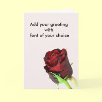 Single red rose on a light pink background cards