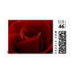Single Red Rose Postage