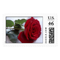 Single Red Rose Postage Stamp