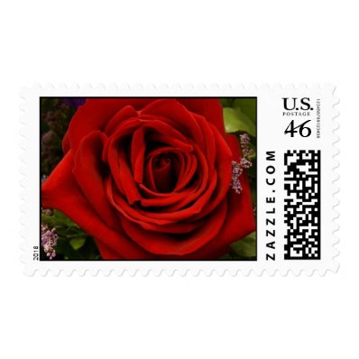 Single Red Rose Postage Stamp