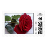 Single Red Rose Postage Stamp