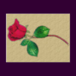 Single Red Rose Postcard