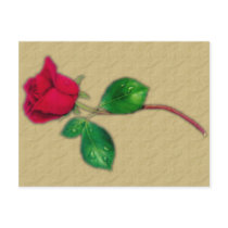Single Red Rose Postcard by kimmyklassickorner Single Red Rose Postcard