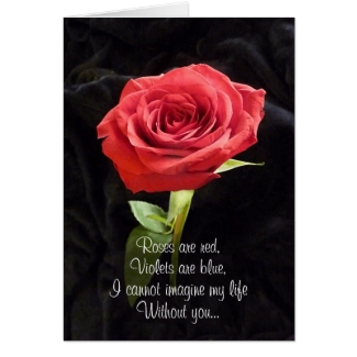 Single Red Rose Romantic Valentines Day Poem
