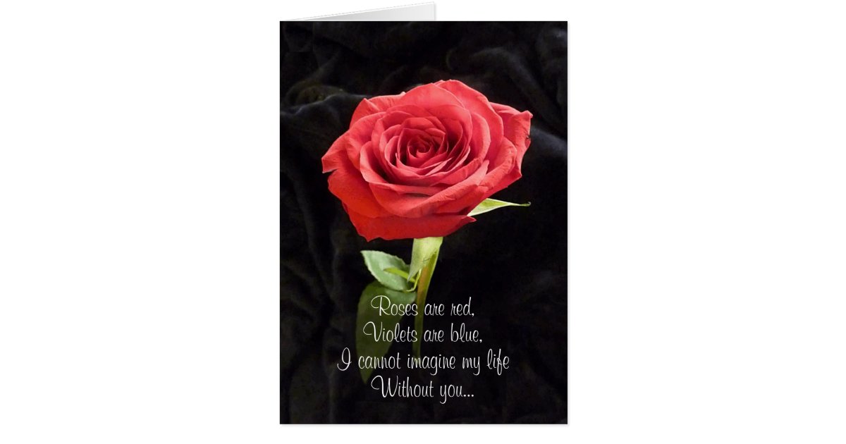 Single Red Rose Romantic Valentines Day Poem Card Zazzle