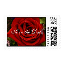 Single Red Rose - Save the Date postage