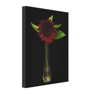 Single Red Sunflower