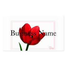Single Red Tulip Business Card
